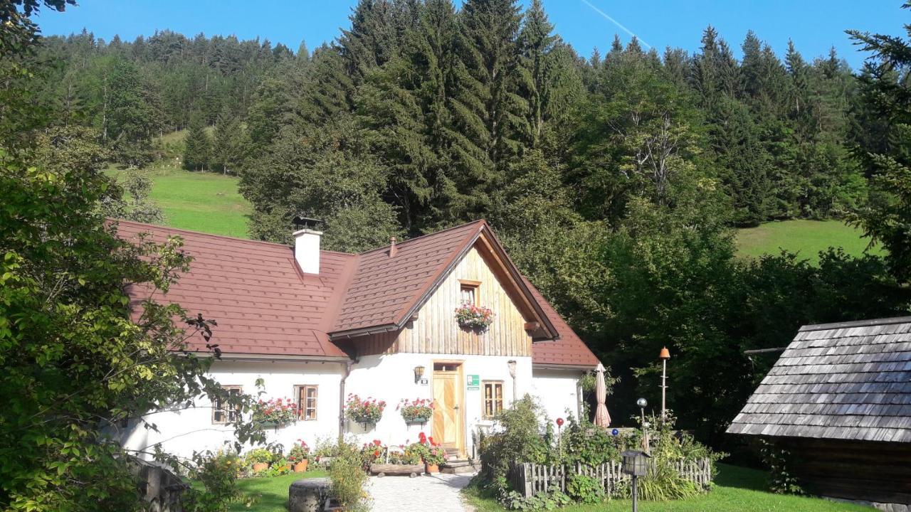 Ferienhaus Lenzau Strohmarkt ภายนอก รูปภาพ