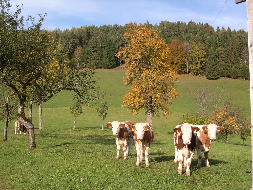 Ferienhaus Lenzau Strohmarkt ภายนอก รูปภาพ